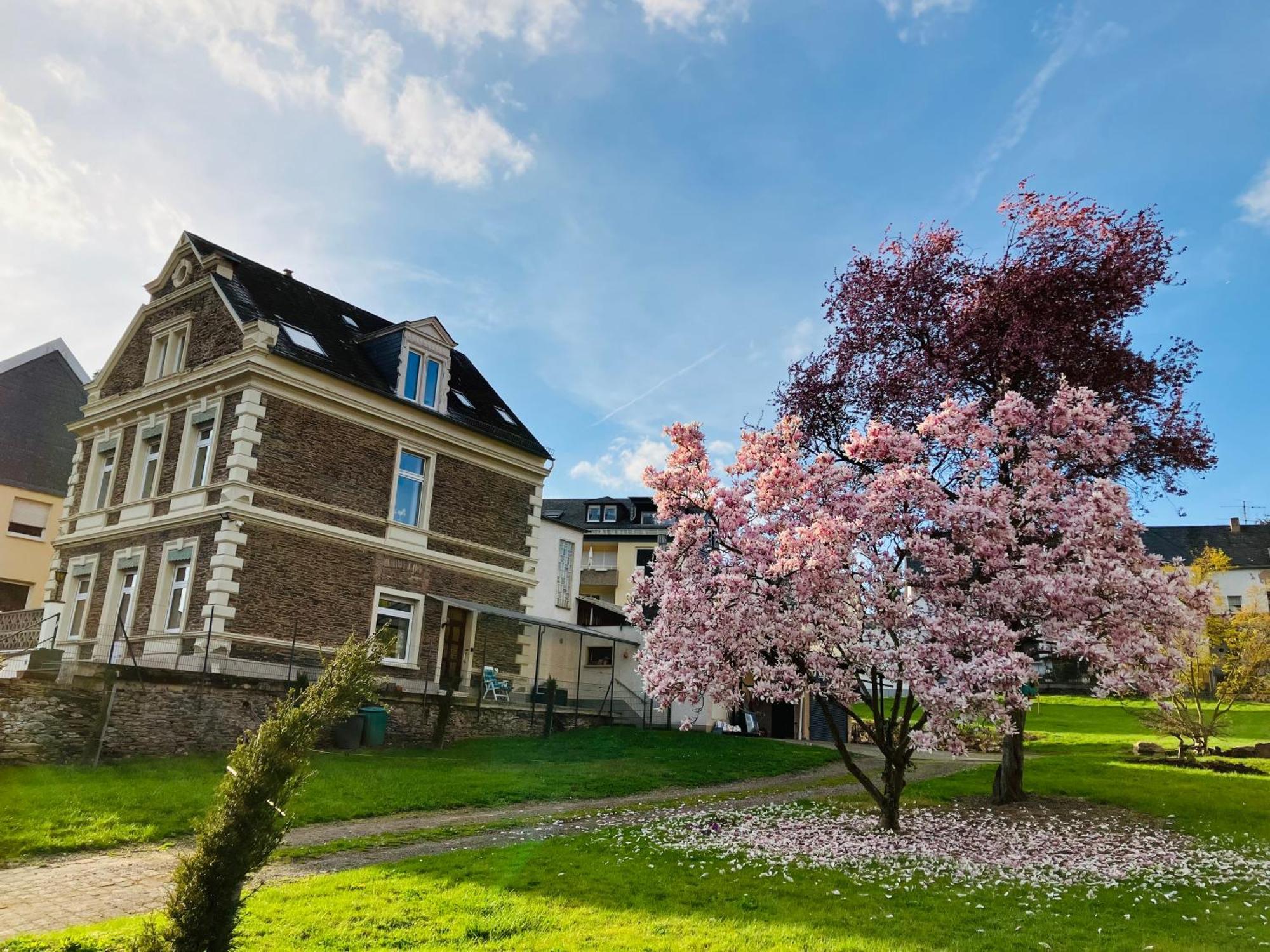 Neu - Ferienwohnungen Im Winzergarten Traben-Trarbach Exterior foto